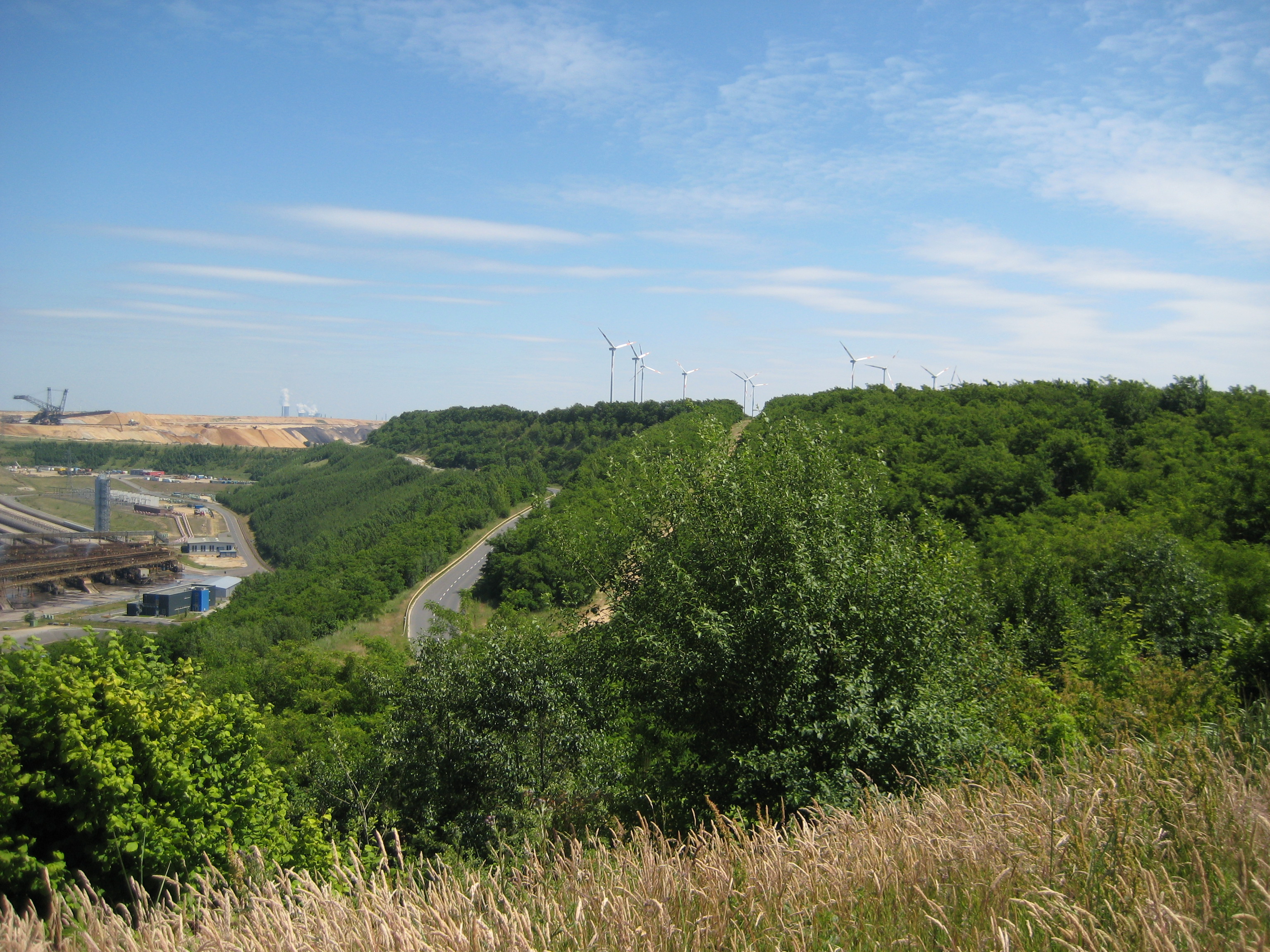 IMG_0800