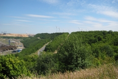 IMG_0800