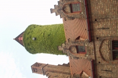 OLYMPUS DIGITAL CAMERA